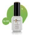Ημιμόνιμο επαγγελματικό βερνίκι Angelacq 15ml 065 (πράσινο ανοιχτό neon)