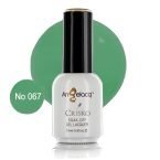 Ημιμόνιμο επαγγελματικό βερνίκι Angelacq 15ml 067 (πράσινο παπαγαλί)