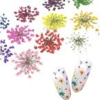 Κασετίνα με αποξηραμένα λουλούδια